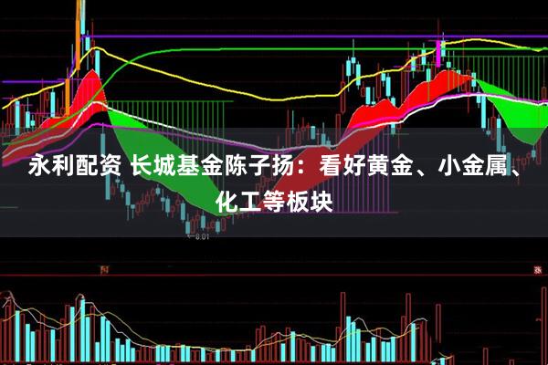 永利配资 长城基金陈子扬：看好黄金、小金属、化工等板块
