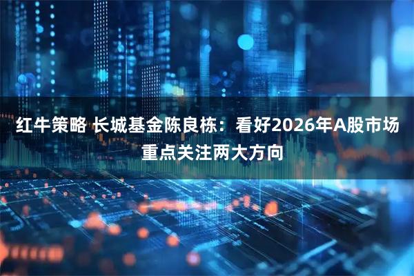 红牛策略 长城基金陈良栋：看好2026年A股市场  重点关注两大方向