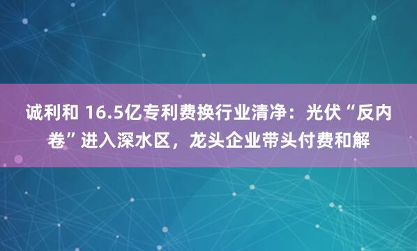 诚利和 16.5亿专利费换行业清净：光伏“反内卷”进入深水区，龙头企业带头付费和解